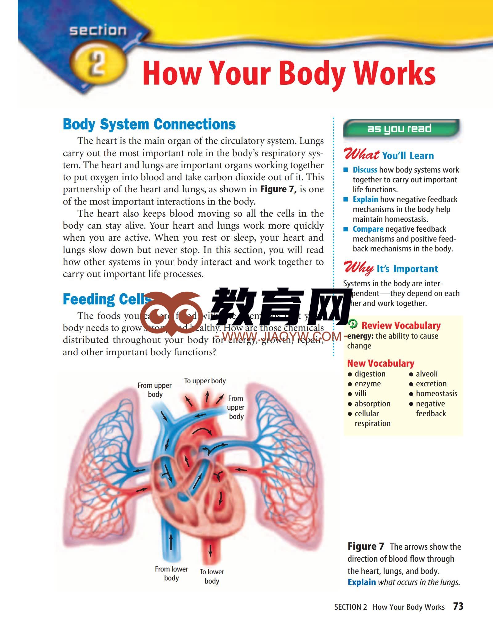 美国中学教材Glencoe系列(15门课程 初中 高中教材 SAT考试必看)